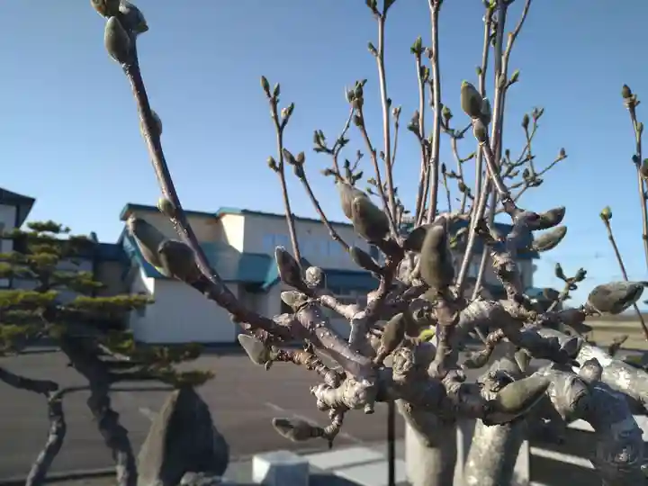 雨竜 専福寺(北海道)
