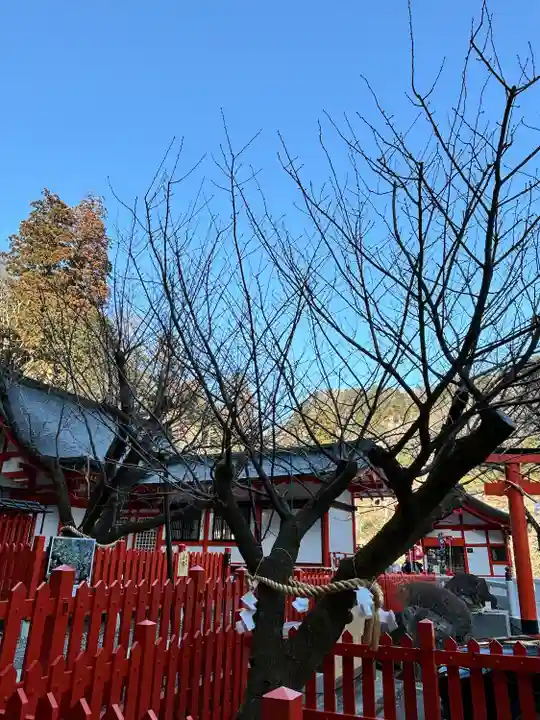 金櫻神社(山梨県)