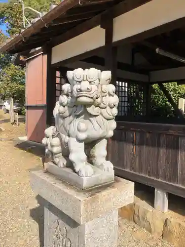 白山比咩神社の狛犬