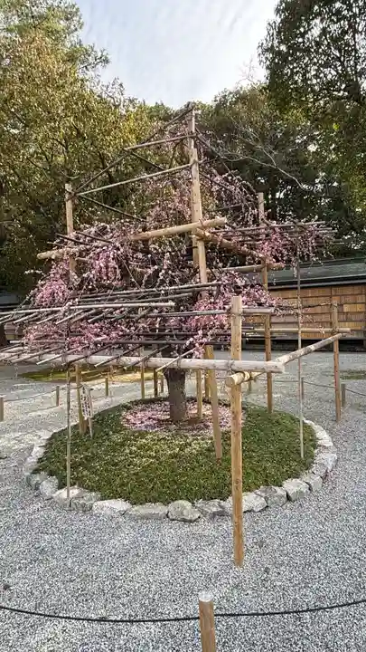 橿原神宮(奈良県)