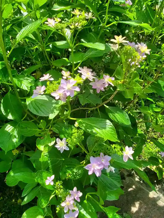 石都々古和気神社(福島県)