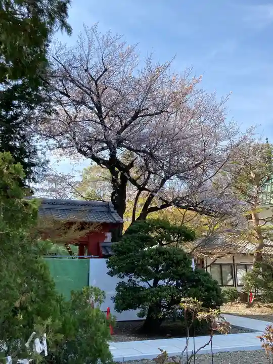 豪徳寺のその他建物