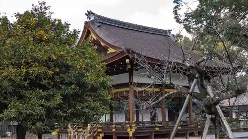 平野神社(京都府)