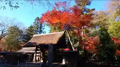 平林寺の末社・摂社