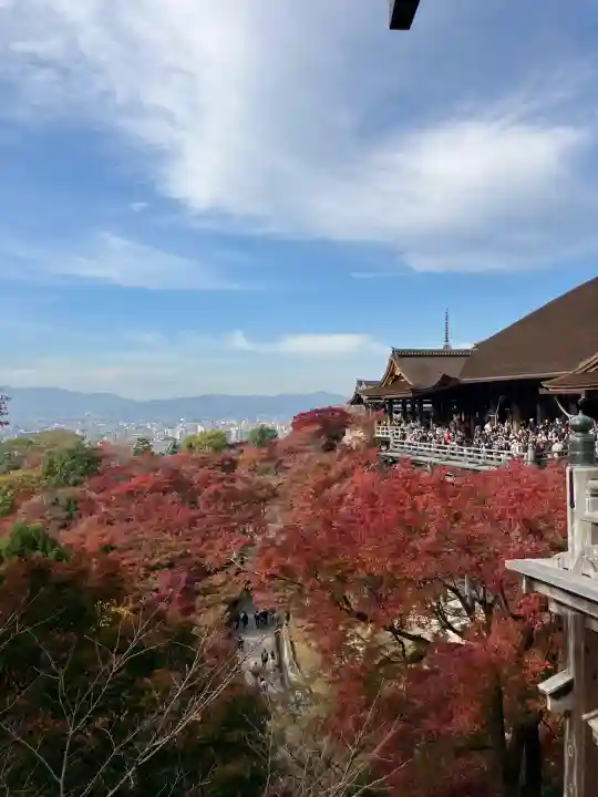 清水寺(京都府)
