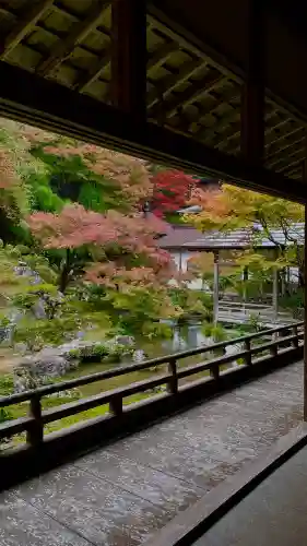 常照皇寺(京都府)