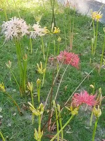 横浜 西方寺の自然