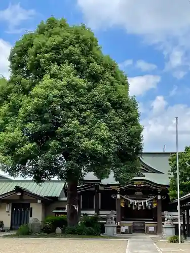 若宮神社の本殿