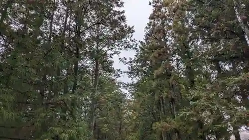 小村神社の自然