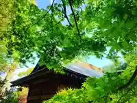 滑川神社 - 仕事と子どもの守り神の自然