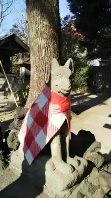葛飾八幡宮の狛犬