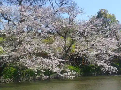 鶴岡八幡宮の庭園