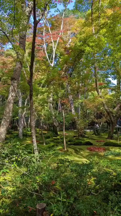 祇王寺(京都府)