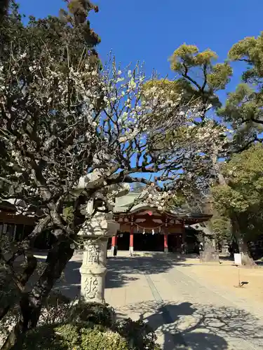 越ヶ谷久伊豆神社(埼玉県)