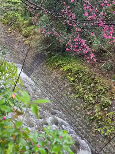 猫神社(鹿児島県)