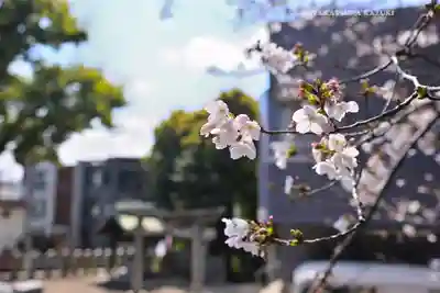 多田神社(東京都)