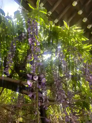 行興寺(静岡県)