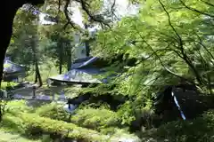 弘川寺の自然