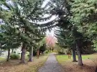 美瑛神社の自然