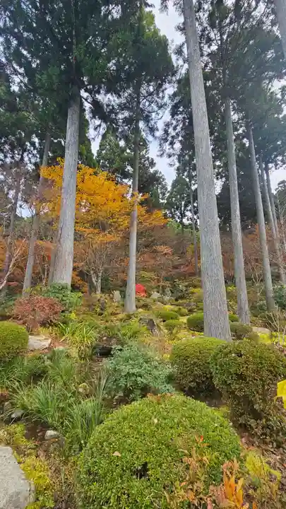 三千院門跡(京都府)