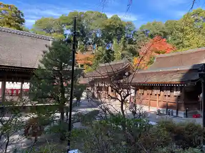 出雲大神宮(京都府)