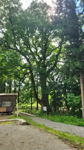 光清寺(山形県)