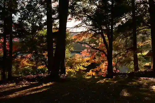 八幡神社(愛媛県)