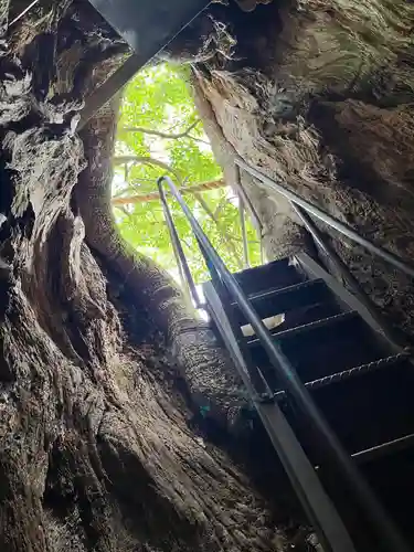 熊野那智大社(和歌山県)