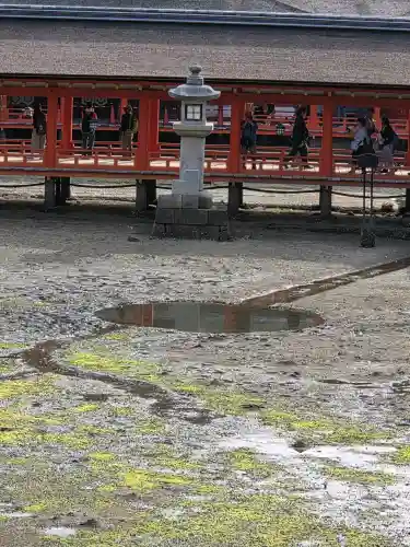 厳島神社の{uncategorized: "未分類", other: "その他", undefined: "問題あり", building: "その他建物", grave: "お墓", sacred_gate: "鳥居", guardian: "狛犬", statue: "像", buddha: "仏像", history: "歴史", nature: "自然", garden: "庭園", animal: "動物", pagoda: "塔", temizu: "手水舎", mountain_gate: "山門・神門", sanctuary: "本殿・本堂", subordinate: "末社・摂社", art: "芸術", scenery: "景色", jizo: "地蔵", ema: "絵馬", goshuin: "御朱印", omikuji: "おみくじ", items: "授与品その他", amulet: "お守り", goshuincho: "御朱印帳", eats: "食事", festival: "お祭り", votive_dance: "神楽", shichigosan: "七五三参", wedding: "結婚式", experience: "体験その他", initially: "初詣", around: "周辺", anti_infection: "感染症対策"}