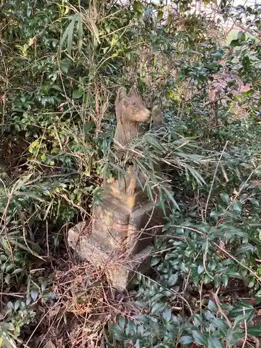 稲荷神社(蛭畑)の狛犬