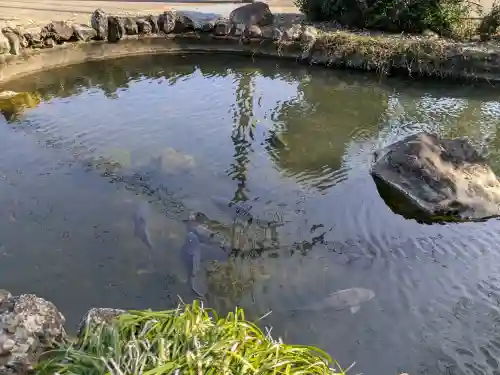 今泉神社の{uncategorized: "未分類", other: "その他", undefined: "問題あり", building: "その他建物", grave: "お墓", sacred_gate: "鳥居", guardian: "狛犬", statue: "像", buddha: "仏像", history: "歴史", nature: "自然", garden: "庭園", animal: "動物", pagoda: "塔", temizu: "手水舎", mountain_gate: "山門・神門", sanctuary: "本殿・本堂", subordinate: "末社・摂社", art: "芸術", scenery: "景色", jizo: "地蔵", ema: "絵馬", goshuin: "御朱印", omikuji: "おみくじ", items: "授与品その他", amulet: "お守り", goshuincho: "御朱印帳", eats: "食事", festival: "お祭り", votive_dance: "神楽", shichigosan: "七五三参", wedding: "結婚式", experience: "体験その他", initially: "初詣", around: "周辺", anti_infection: "感染症対策"}