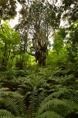 白島神社(島根県)