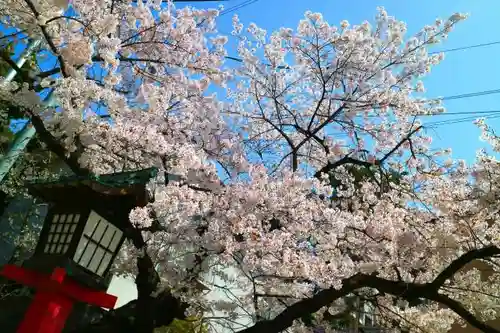 青葉神社の建物その他