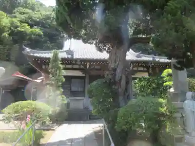 等覚寺(神奈川県)