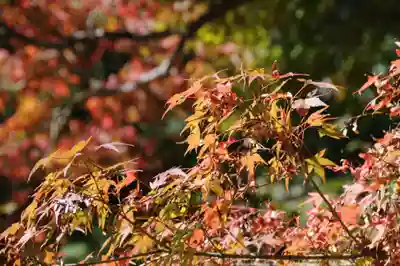 両足寺(山口県)