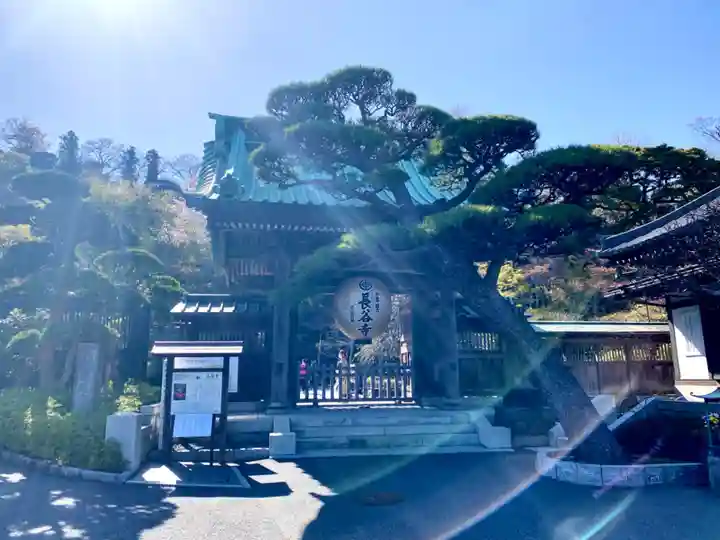 長谷寺の山門・神門