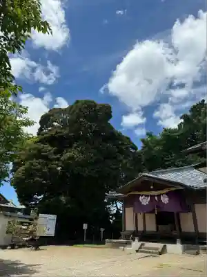 九重神社(埼玉県)