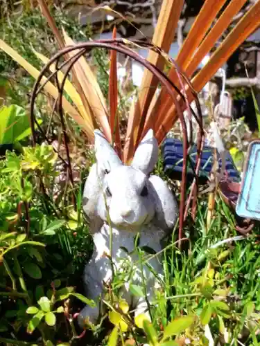 智光院(東京都)