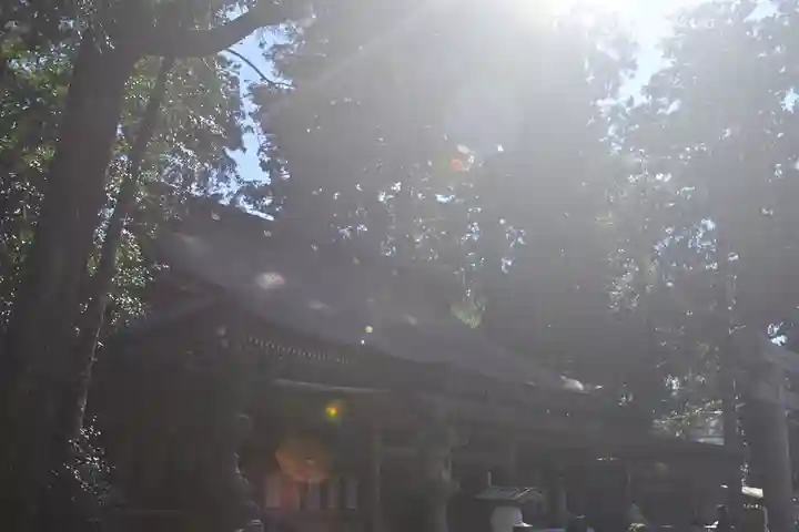 鹿島神宮(茨城県)