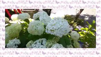 於菊稲荷神社(群馬県)
