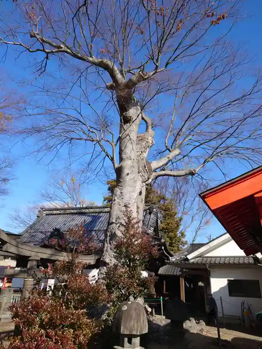 科野大宮社(長野県)