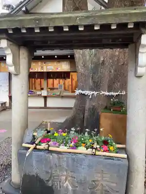 上目黒氷川神社の手水舎