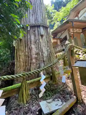 由岐神社(京都府)