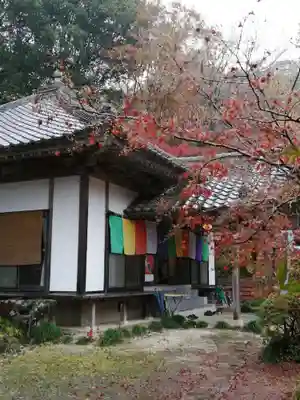 薬王寺の本殿・本堂