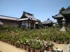 おふさ観音の建物その他