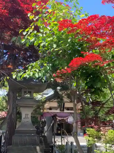 彌彦神社　(伊夜日子神社)の自然