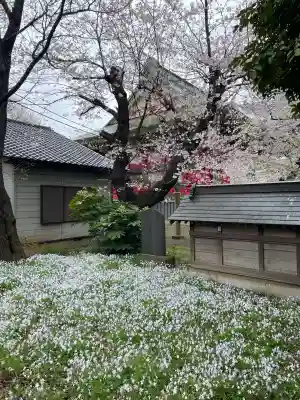 千葉寺の{uncategorized: "未分類", other: "その他", undefined: "問題あり", building: "その他建物", grave: "お墓", sacred_gate: "鳥居", guardian: "狛犬", statue: "像", buddha: "仏像", history: "歴史", nature: "自然", garden: "庭園", animal: "動物", pagoda: "塔", temizu: "手水舎", mountain_gate: "山門・神門", sanctuary: "本殿・本堂", subordinate: "末社・摂社", art: "芸術", scenery: "景色", jizo: "地蔵", ema: "絵馬", goshuin: "御朱印", omikuji: "おみくじ", items: "授与品その他", amulet: "お守り", goshuincho: "御朱印帳", eats: "食事", festival: "お祭り", votive_dance: "神楽", shichigosan: "七五三参", wedding: "結婚式", experience: "体験その他", initially: "初詣", around: "周辺", anti_infection: "感染症対策"}