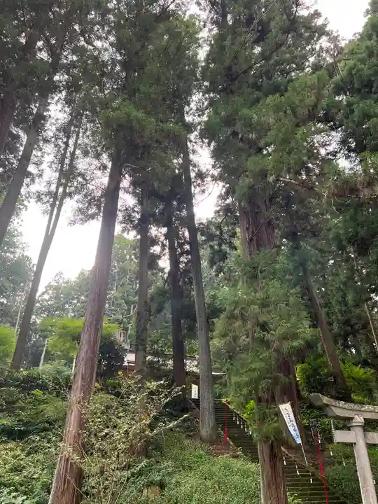 大宮温泉神社(栃木県)