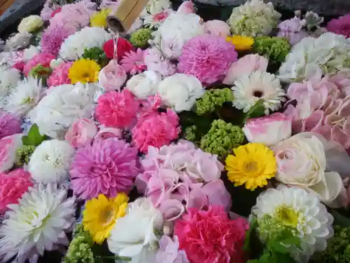 千歳神社の手水舎