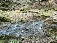 龍鎮神社の{uncategorized: "未分類", other: "その他", undefined: "問題あり", building: "その他建物", grave: "お墓", sacred_gate: "鳥居", guardian: "狛犬", statue: "像", buddha: "仏像", history: "歴史", nature: "自然", garden: "庭園", animal: "動物", pagoda: "塔", temizu: "手水舎", mountain_gate: "山門・神門", sanctuary: "本殿・本堂", subordinate: "末社・摂社", art: "芸術", scenery: "景色", jizo: "地蔵", ema: "絵馬", goshuin: "御朱印", omikuji: "おみくじ", items: "授与品その他", amulet: "お守り", goshuincho: "御朱印帳", eats: "食事", festival: "お祭り", votive_dance: "神楽", shichigosan: "七五三参", wedding: "結婚式", experience: "体験その他", initially: "初詣", around: "周辺", anti_infection: "感染症対策"}